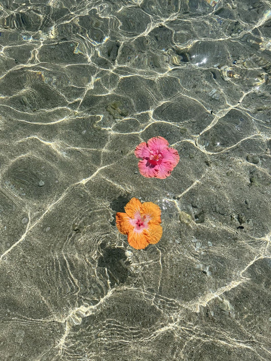 Mothers Magic 🌺