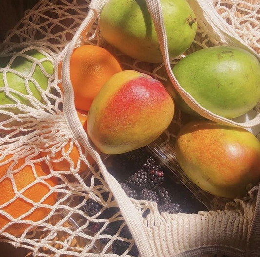 Ancient Remedies That Still Work Today 🌱 (Why They’re Making a Comeback)