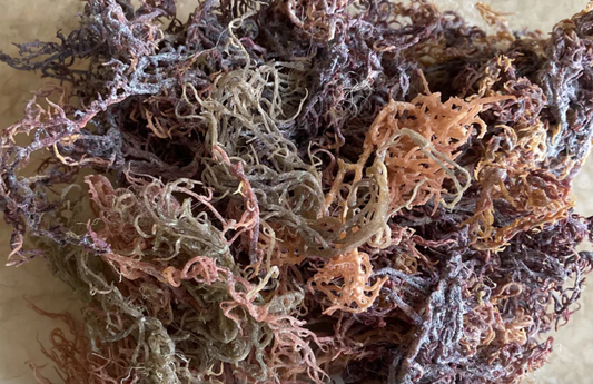 What is Full Spectrum Sea Moss And What Does It Do?