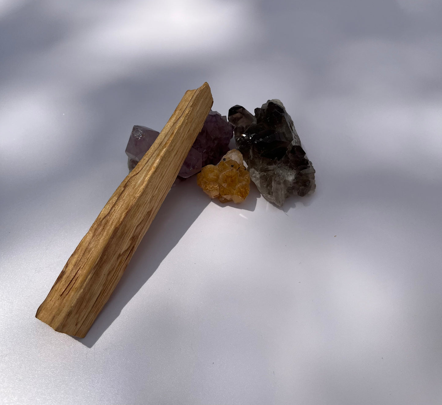 Palo Santo 1 ct.