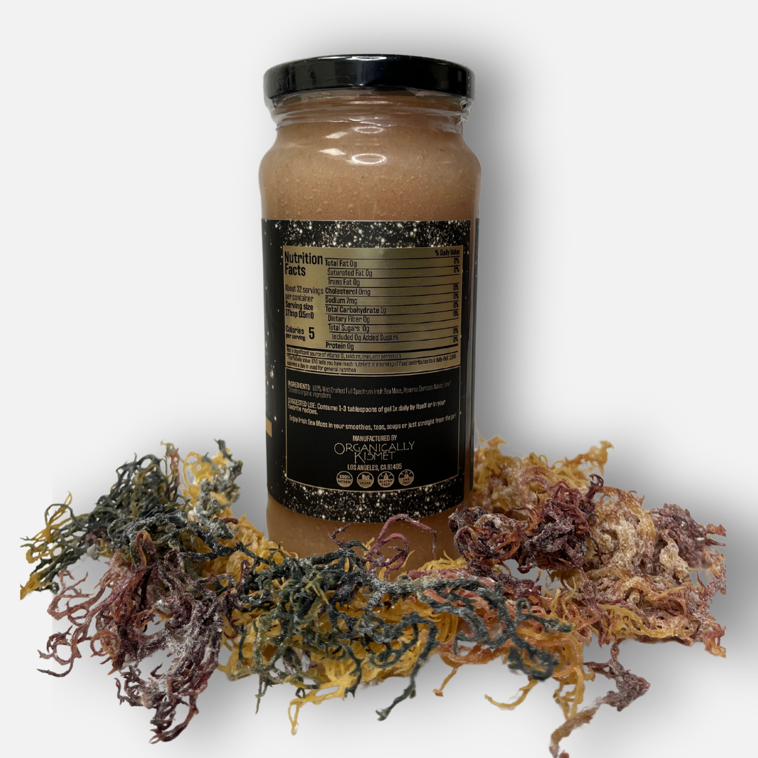 Jar of Original Full Spectrum Sea moss gel placed atop a bed of raw sea moss showing back label