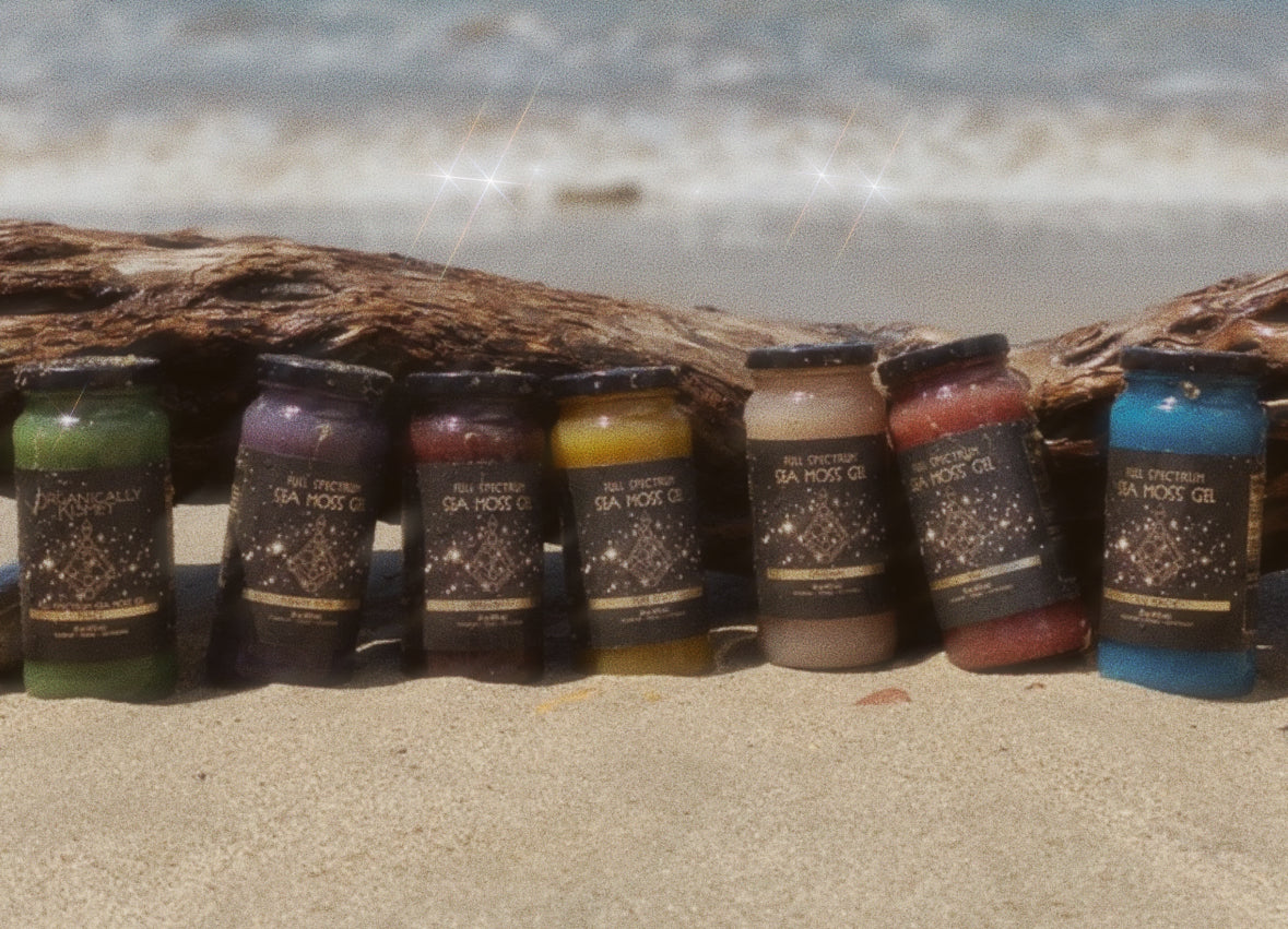 Organically Kismet Full Spectrum Sea Moss Gel jars in assorted flavors and colors – green (chlorophyll), purple, gold (turmeric & ginger), original, red, and blue – displayed on the beach. Handcrafted superfood gels packed with 90+ minerals for natural energy, detox, and immune support.