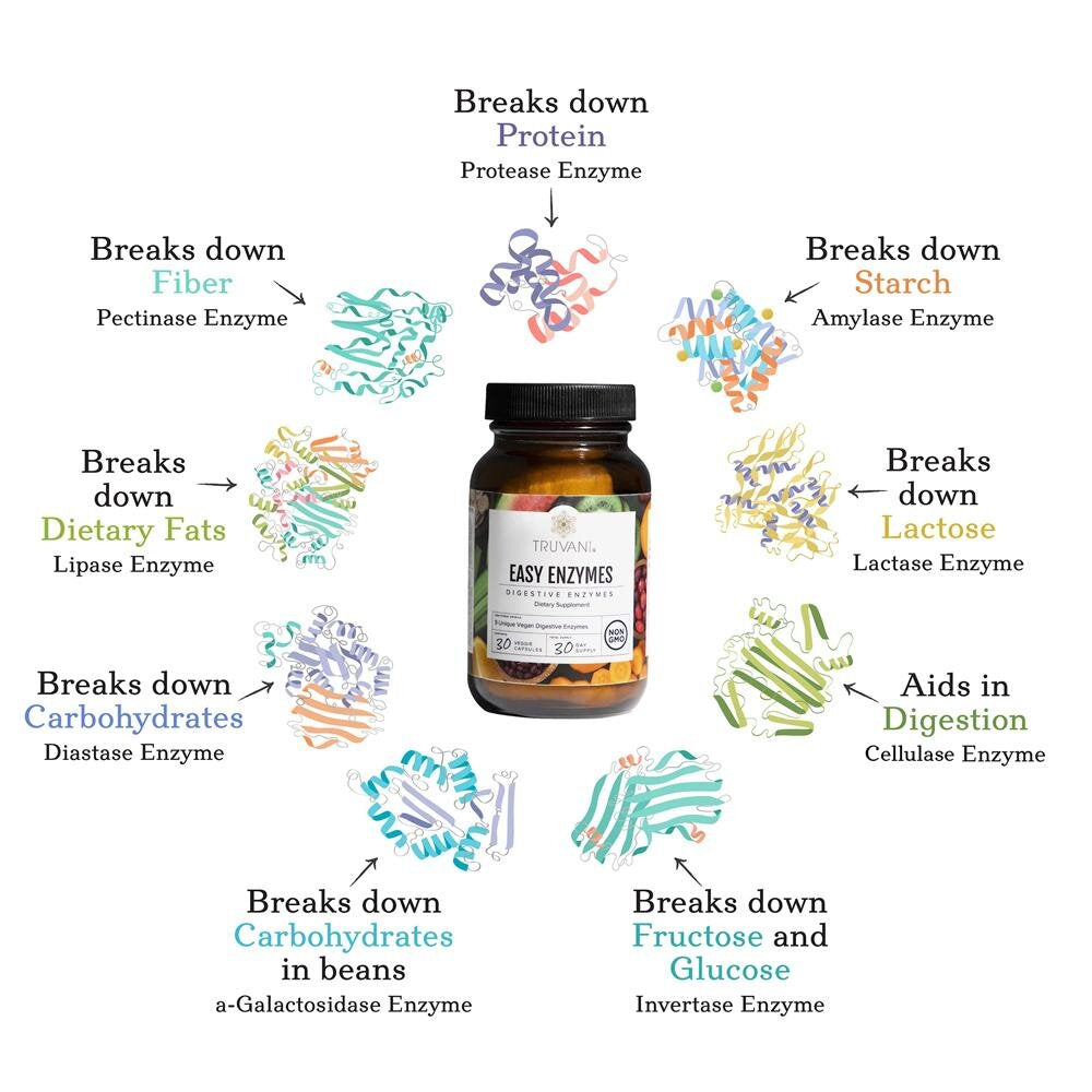 Easy Enzymes