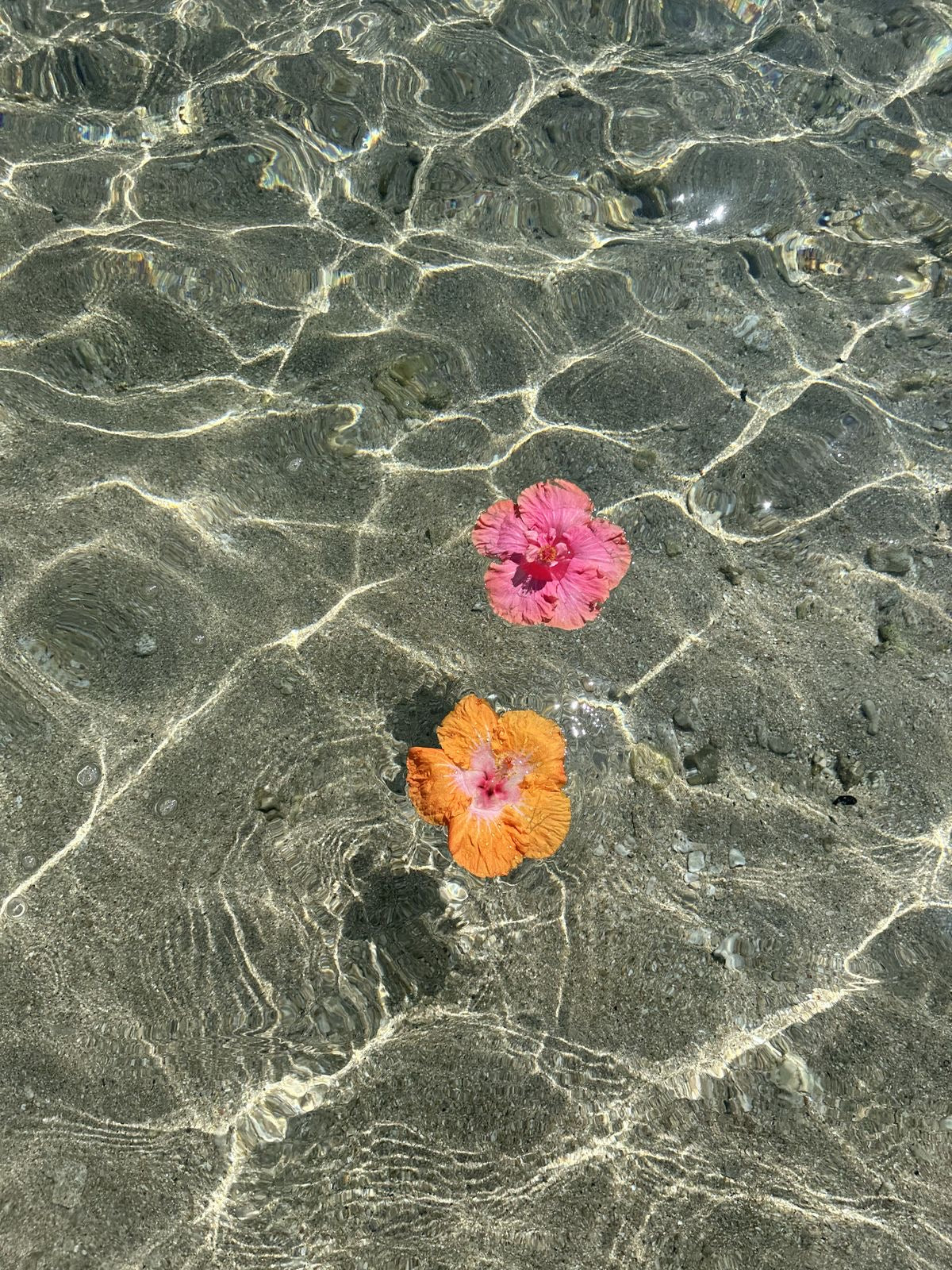 Mothers Magic 🌺