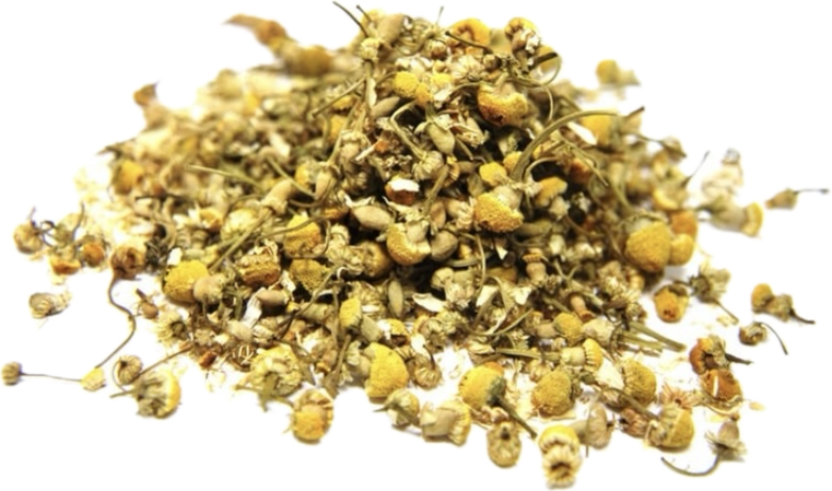 Pile of dried chamomile flowers on a white background