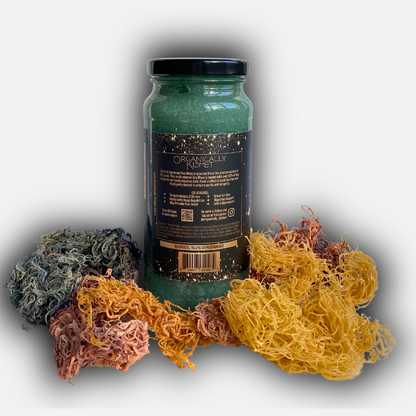 Tranquility Blend: Cielo Sea Moss Gel 16 oz.