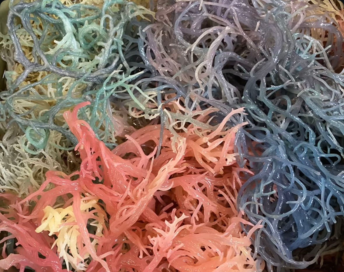 Batch Of Sea Moss in red green and blue