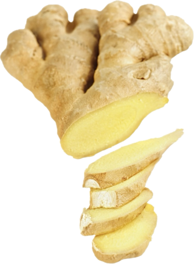 Ginger root with a slice on a white background