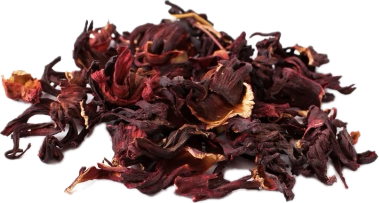 Dried hibiscus flowers on a white background