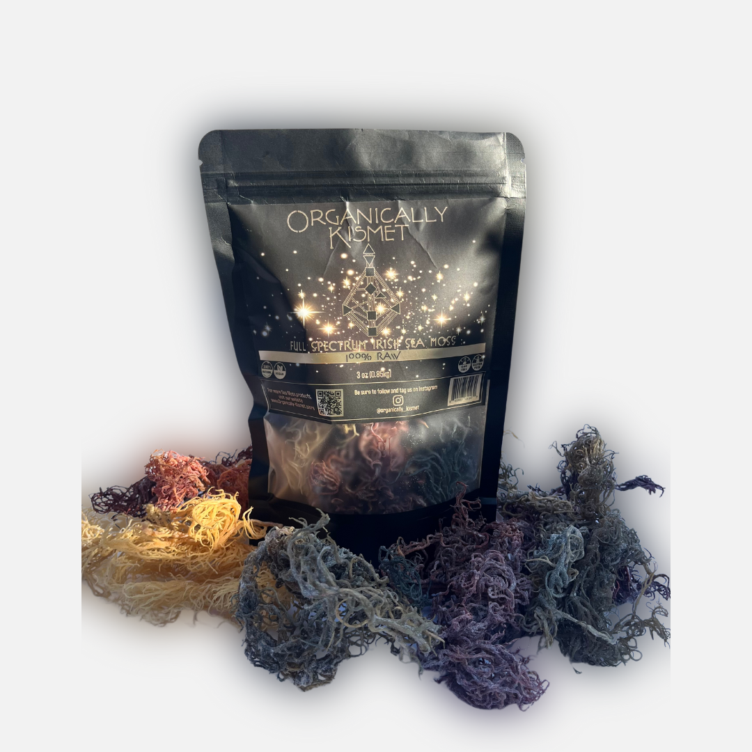 Organically Kismet -Full Spectrum Raw Irish Sea Moss from Saint Lucia in a 3oz pouch set atop a bed of vibrantly colored Sea Moss