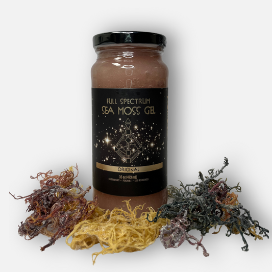 Jar of Original Full Spectrum Sea moss gel placed atop a bed of raw sea moss