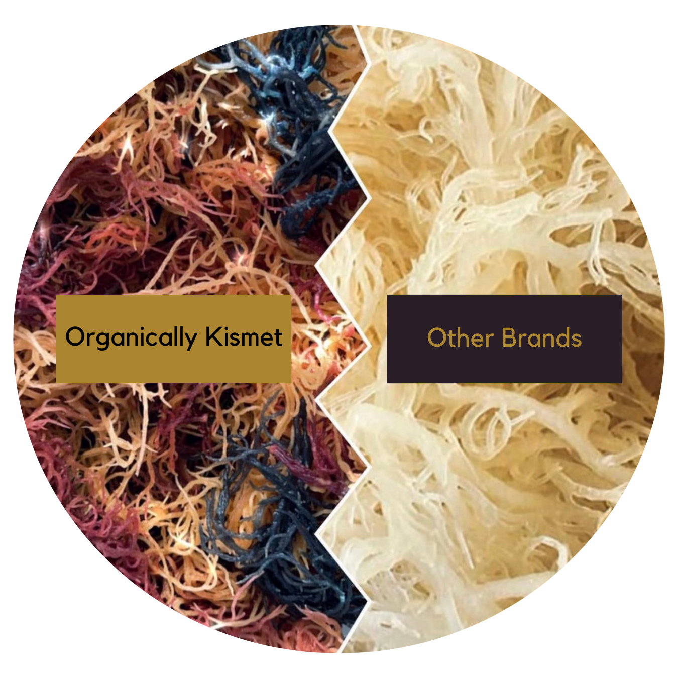 Colorful Organically Kismet Full Spectrum Sea Moss Vs Other Brands pale sea Moss 