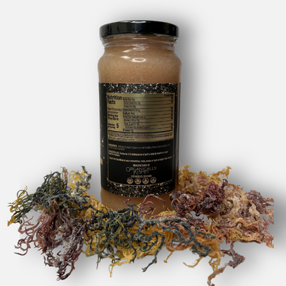 Jar of Original Full Spectrum Sea moss gel placed atop a bed of raw sea moss showing back label