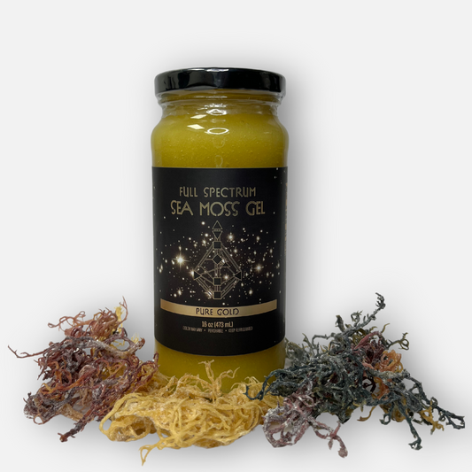 Jar of gold Full Spectrum Sea moss gel placed atop a bed of raw sea moss