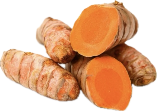 Turmeric roots with one cut open on a white background