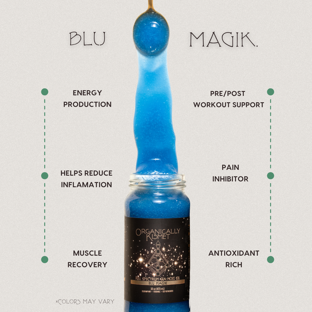 Blu Magik Sea Moss Gel by Organically Kismet — a vibrant blue full-spectrum sea moss infused with blue spirulina to support energy production, muscle recovery, inflammation reduction, and pre/post workout performance while providing antioxidant protection and natural pain relief.