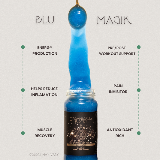 Blu Magik Sea Moss Gel by Organically Kismet — a vibrant blue full-spectrum sea moss infused with blue spirulina to support energy production, muscle recovery, inflammation reduction, and pre/post workout performance while providing antioxidant protection and natural pain relief.