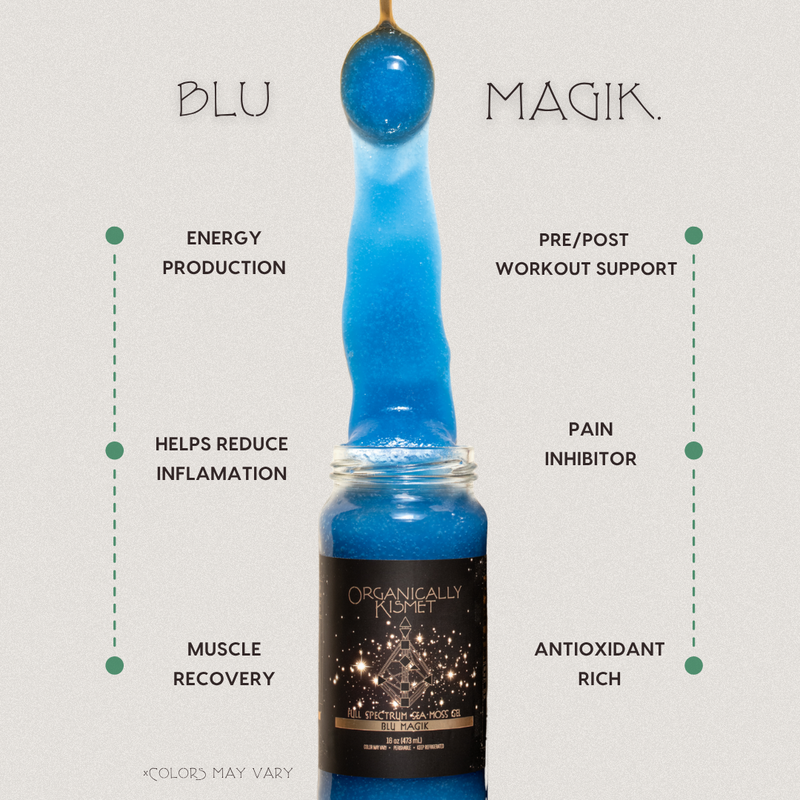 Blu Magik Sea Moss Gel by Organically Kismet — a vibrant blue full-spectrum sea moss infused with blue spirulina to support energy production, muscle recovery, inflammation reduction, and pre/post workout performance while providing antioxidant protection and natural pain relief.
