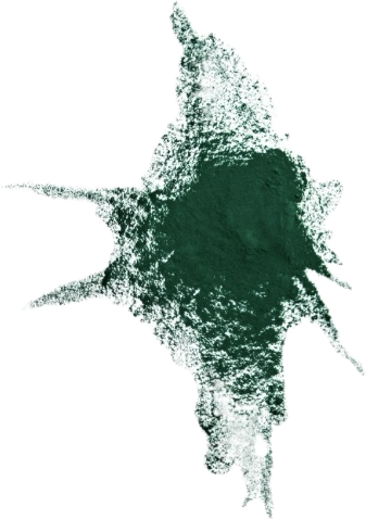 Chlorophyll powder – a core ingredient in Organically Kismet Peace Sea Moss Gel, known for detoxifying the body, supporting cellular oxygenation, balancing pH, and promoting natural energy and cleansing.