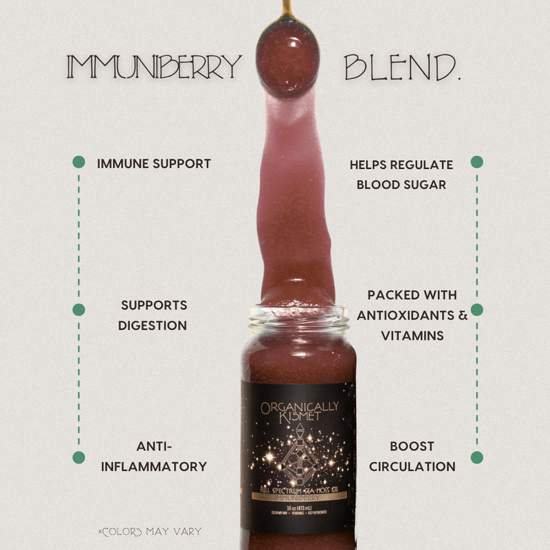 ImmuniBerry Sea Moss Gel by Organically Kismet — a nutrient-rich berry blend infused with elderberry and full-spectrum sea moss to support immune health, boost circulation, aid digestion, regulate blood sugar, and deliver powerful antioxidants and vitamins.