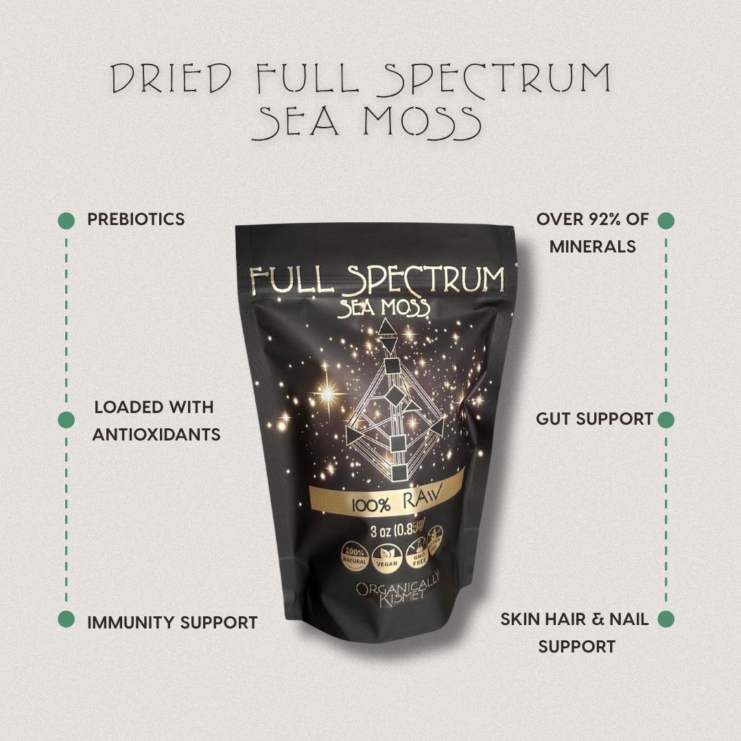 Product image of Organically Kismet Dried Full Spectrum Sea Moss with highlighted benefits including prebiotics, antioxidants, immunity support, over 92% of minerals, gut support, and skin, hair, and nail support.