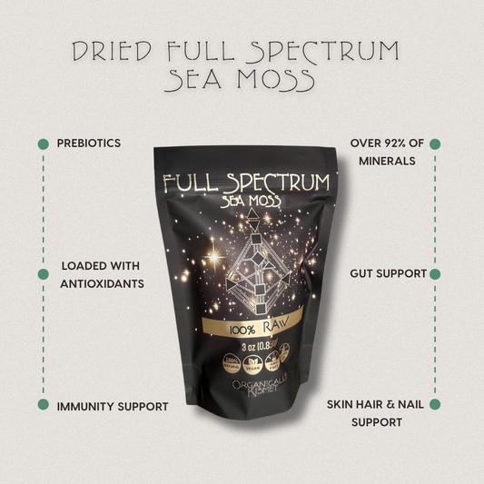 Product image of Organically Kismet Dried Full Spectrum Sea Moss with highlighted benefits including prebiotics, antioxidants, immunity support, over 92% of minerals, gut support, and skin, hair, and nail support.
