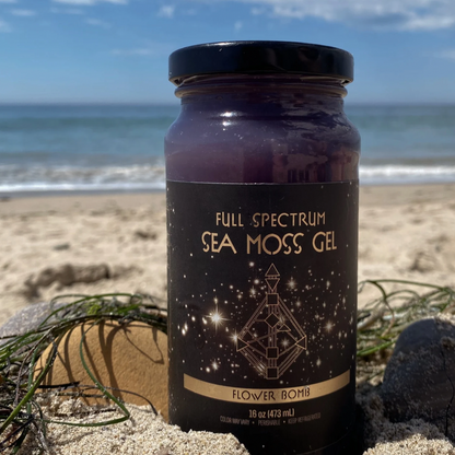 Jar of Organically Kismet Flower Bomb Full Spectrum Sea Moss Gel photographed on the beach with sand, seaweed, and the ocean in the background.
