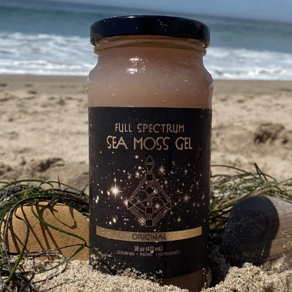 Jar of Organically Kismet Original Full Spectrum Sea Moss Gel photographed on the beach with sand, seaweed, and ocean waves in the background.