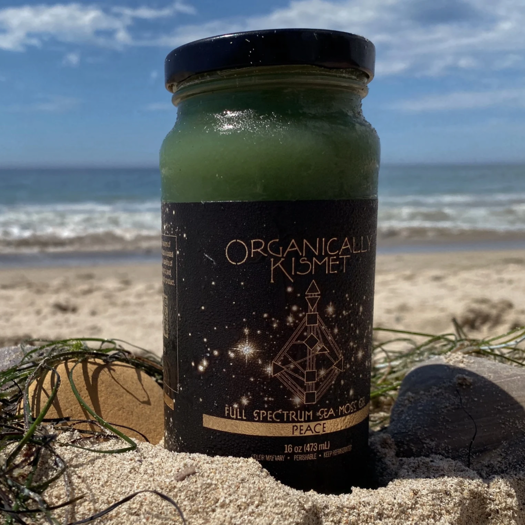 Jar of Organically Kismet Peace Full Spectrum Sea Moss Gel photographed on the beach with sand, seaweed, and the ocean waves in the background.