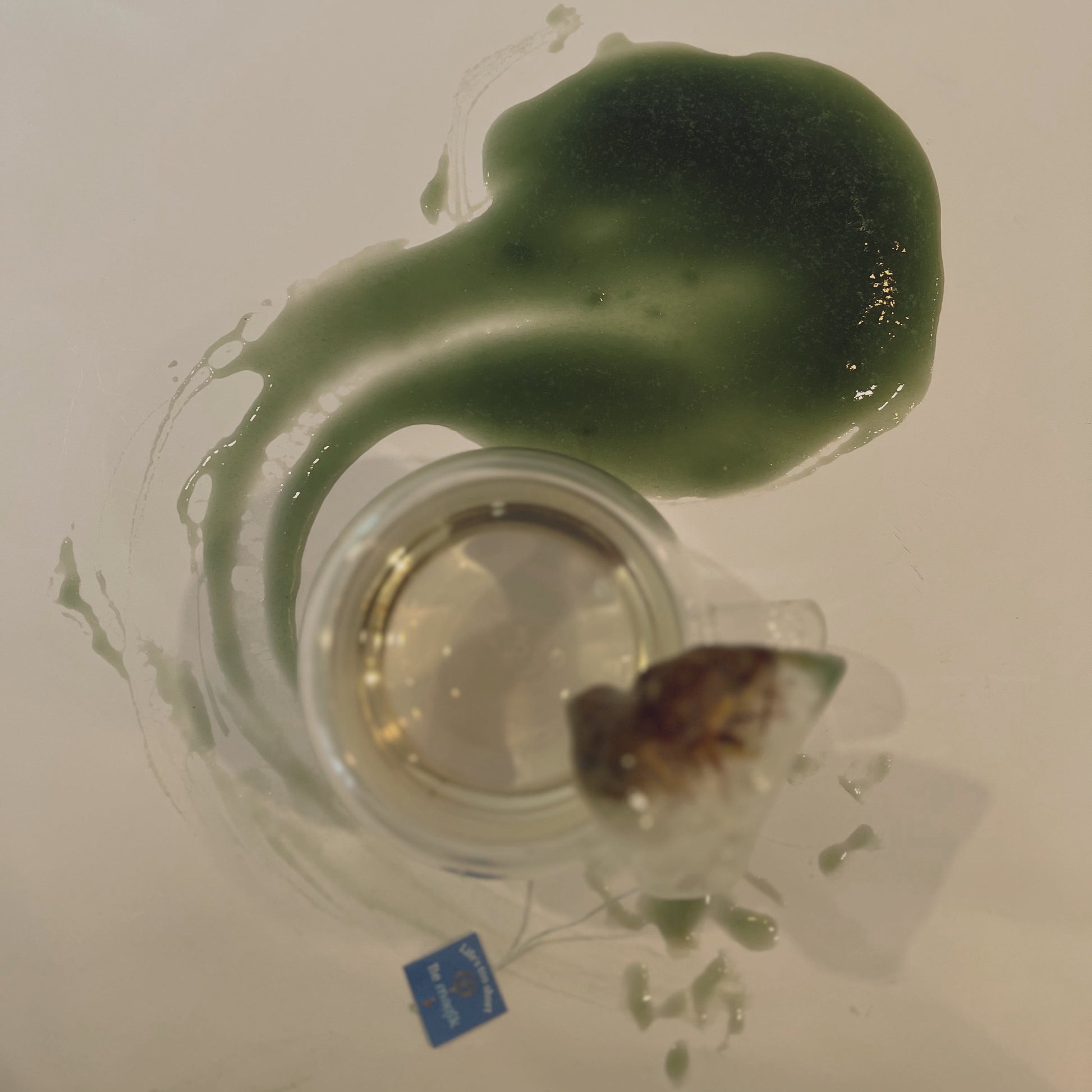 Organically Kismet Peace Sea Moss Gel spilled beside a small glass jar and dried herbs, showcasing its rich green chlorophyll-infused texture.