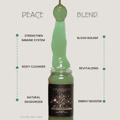 Peace Blend Sea Moss Gel by Organically Kismet — a soothing green mineral-rich gel that strengthens the immune system, builds blood, supports natural detoxification, revitalizes the body, boosts energy, and acts as a natural deodorizer.