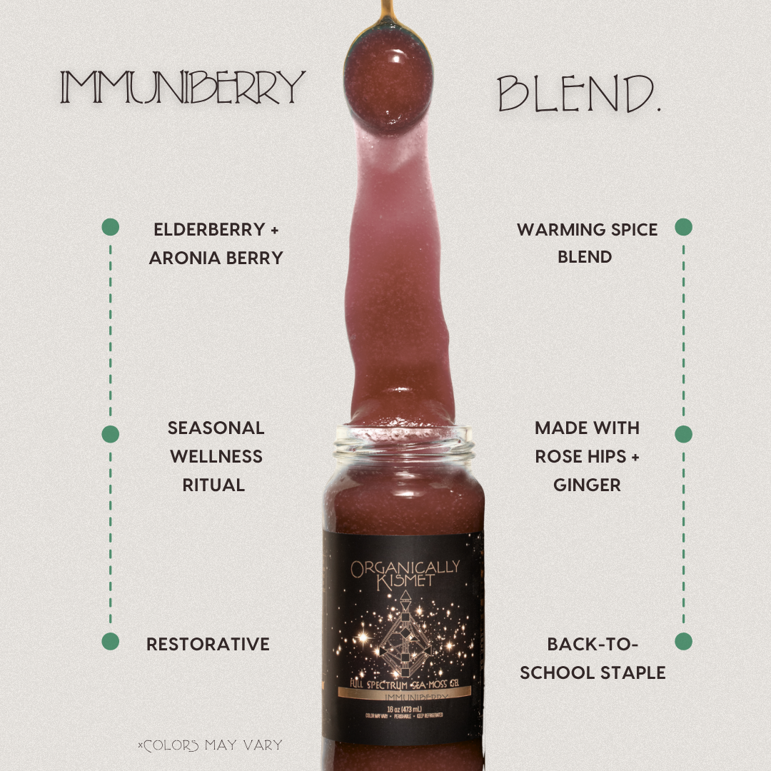 Immuniberry Sea Moss Gel: Elderberry + Aronia 16 oz.