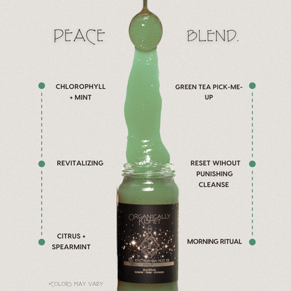 Peace Sea Moss Gel: Citrus Mint + Chlorophyll 16 oz.