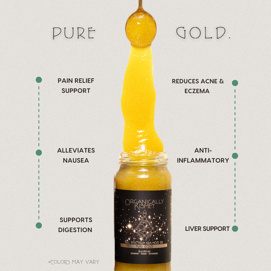 Pure Gold Sea Moss Gel by Organically Kismet — a golden mineral-rich gel infused with turmeric and ginger to support digestion, reduce inflammation, relieve pain and nausea, clear acne and eczema, and promote liver health.